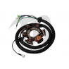 Stator assemble Yamaha GP/ XL/ SUV/ LS 200 /LX210