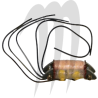 Bobine de charge Seadoo XP/ SP/ GT (89-94) WSM-USA